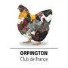 LOGO-ORPINGTON-03