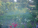 DSC08050