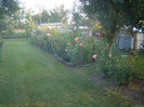 DSC08055