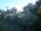 DSC08060