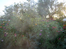 DSC08063