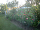 DSC08064
