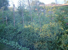 DSC08066