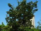 DSCN9914