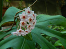 DSCN9949