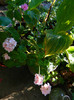 DSCN9951