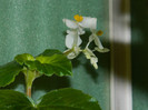 DSCN9956