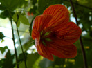 DSCN9959