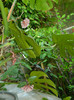 DSCN9967