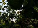 DSCN9968