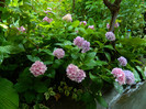 DSCN9970