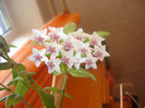 DSC04941