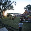 inima-de-tigan-745516l-thumbnail_gallery