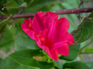 052