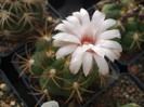 DSCF2027