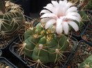 DSCF2028
