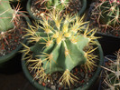 DSCF2036