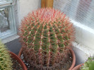 DSCF2041