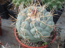 DSCF2042