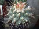 DSCF2043