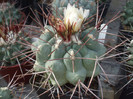 DSCF2045