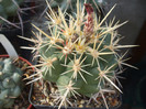 DSCF2046