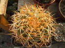 DSCF2047