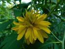 DSCN0019