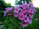 DSCN0023