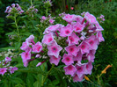 DSCN0024