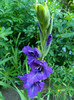 DSCN0026