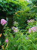 DSCN0034