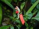 DSCN0039