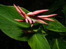 DSCN0041