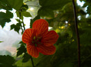 DSCN0060