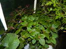 DSCN0063