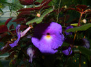 DSCN0068