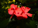 DSCN0070