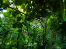 DSCN0071