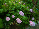 DSCN0072