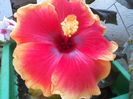 P04-07-12_09.39