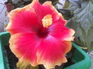P04-07-12_09.39[2]