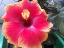 P04-07-12_09.39[3]
