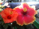P05-07-12_10.16[2]