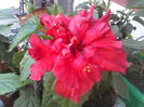 P05-07-12_10.16[4]
