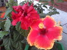 P05-07-12_10.16[5]