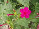 DSCF7907