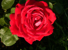 018
