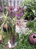 iulie 2012 032