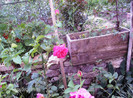 iulie 2012 043